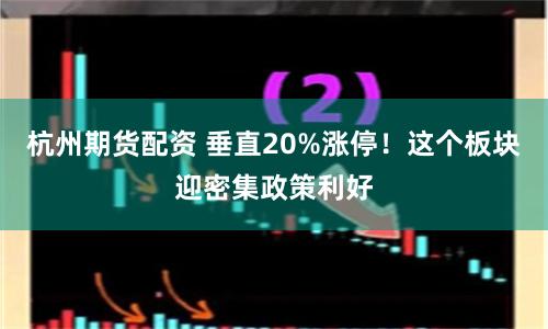 杭州期货配资 垂直20%涨停！这个板块迎密集政策利好