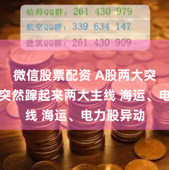 微信股票配资 A股两大突发！市场突然蹿起来两大主线 海运、电力股异动