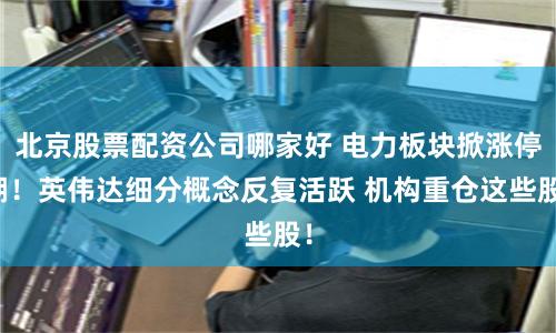 北京股票配资公司哪家好 电力板块掀涨停潮！英伟达细分概念反复活跃 机构重仓这些股！
