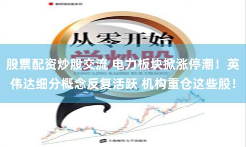 股票配资炒股交流 电力板块掀涨停潮！英伟达细分概念反复活跃 机构重仓这些股！