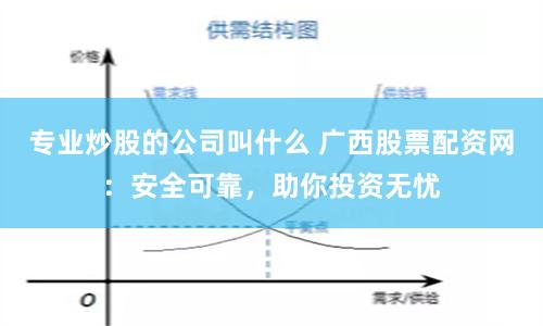 专业炒股的公司叫什么 广西股票配资网：安全可靠，助你投资无忧